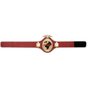 GOLD PRO288 CUSTOM CHAMPIONSHIP BELT  ***BEST SELLER***